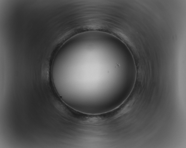 X0000089450446200706291446