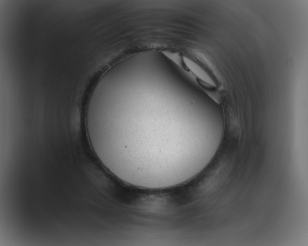 X0000089450447200706291446