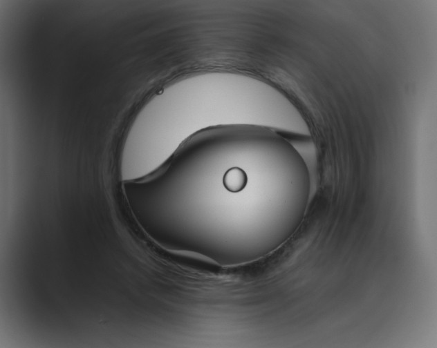 X0000089450448200706291446