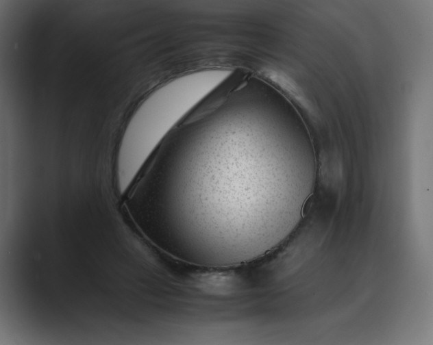 X0000089450449200706291446