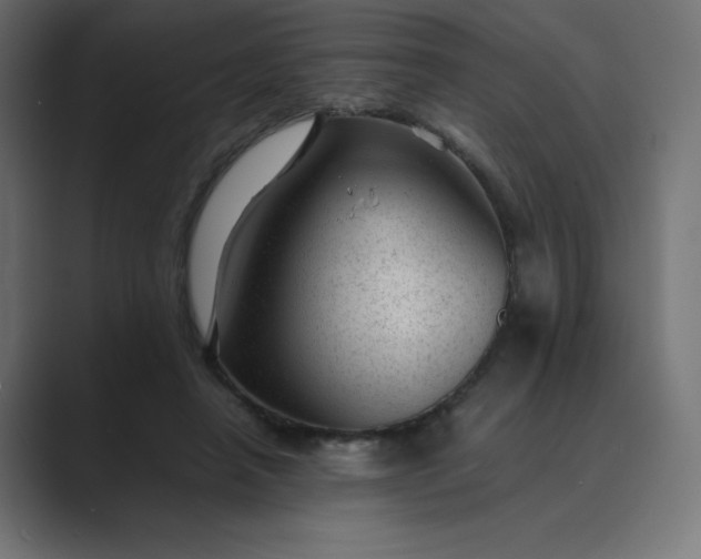 X0000089450450200706291446