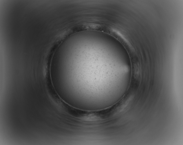 X0000089450451200706291446
