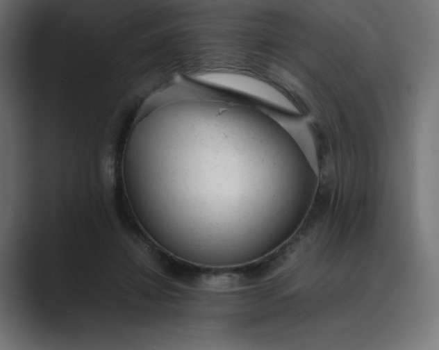 X0000089450452200706291446
