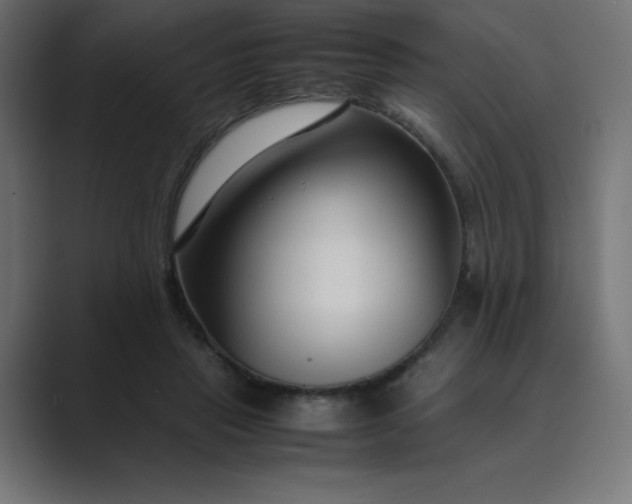 X0000089450453200706291446