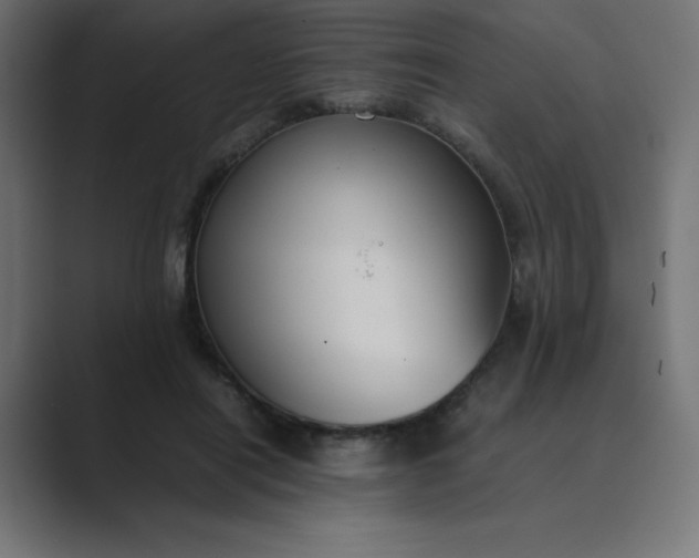 X0000089450454200706291446