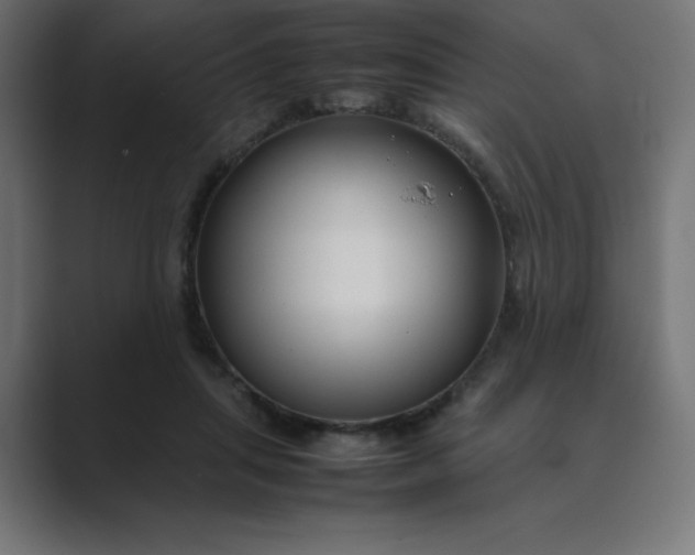 X0000089450455200706291446