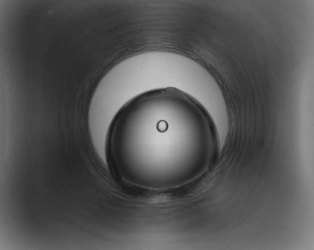 X0000089450456200706291446
