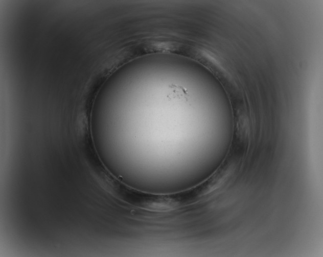 X0000089450459200706291446