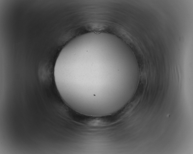 X0000089450460200706291446