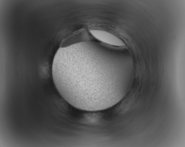 X0000089450465200706291446