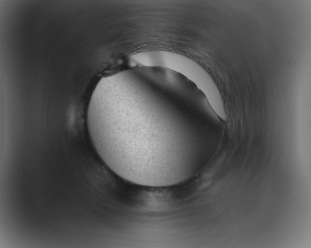 X0000089450466200706291446