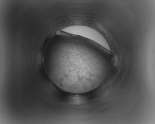 X0000089450467200706291446