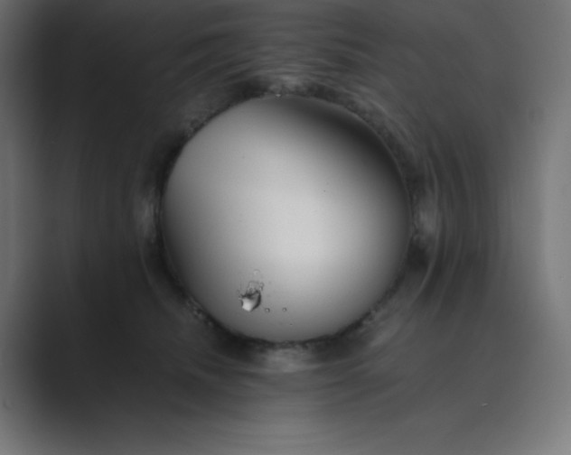 X0000089450468200706291446