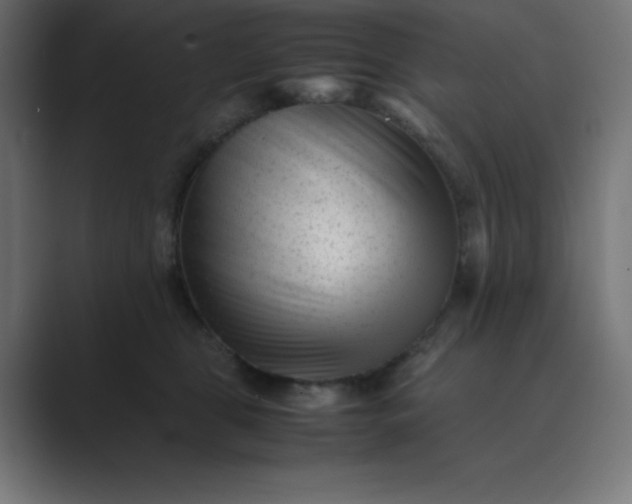 X0000089450469200706291446