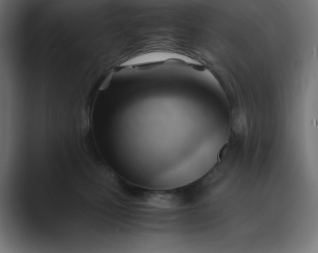 X0000089450471200706291446