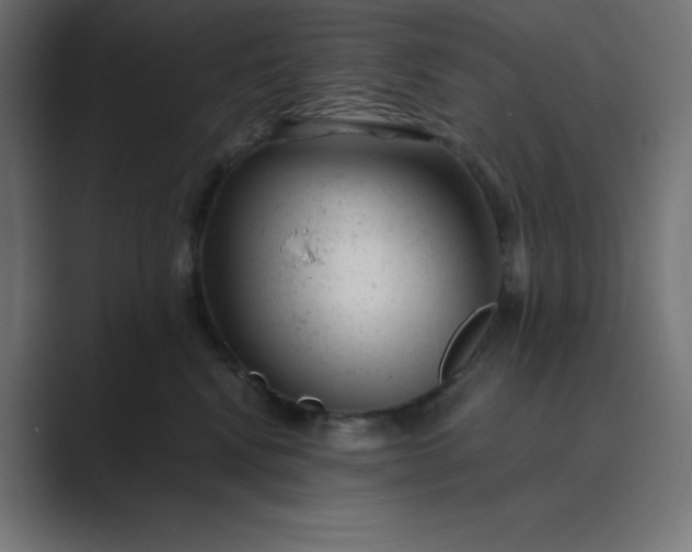 X0000089450472200706291446