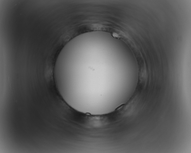 X0000089450473200706291446