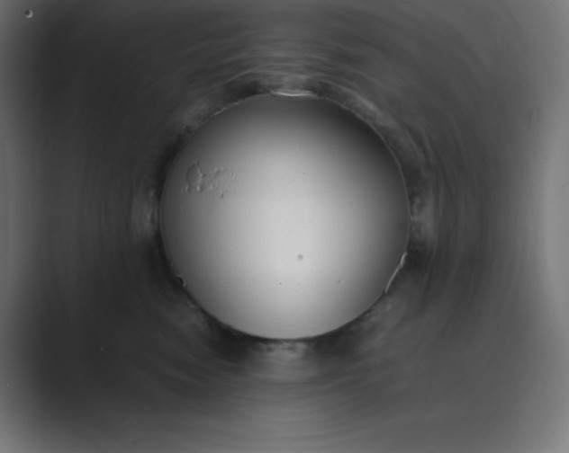 X0000089450474200706291446