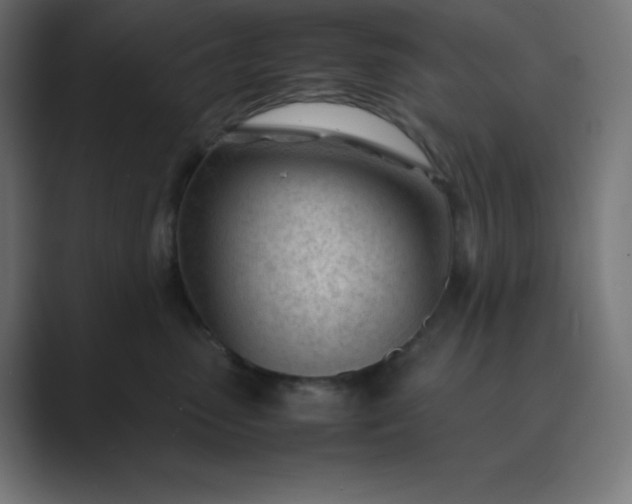 X0000089450475200706291446