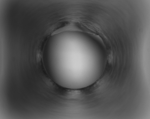 X0000089450476200706291446