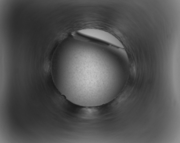 X0000089450477200706291446