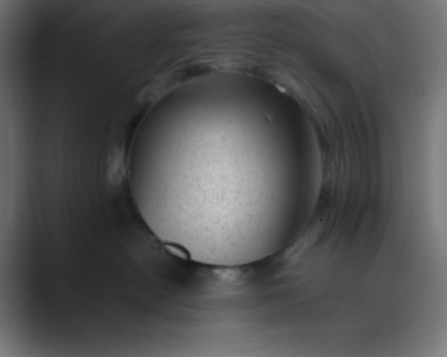 X0000089450478200706291446