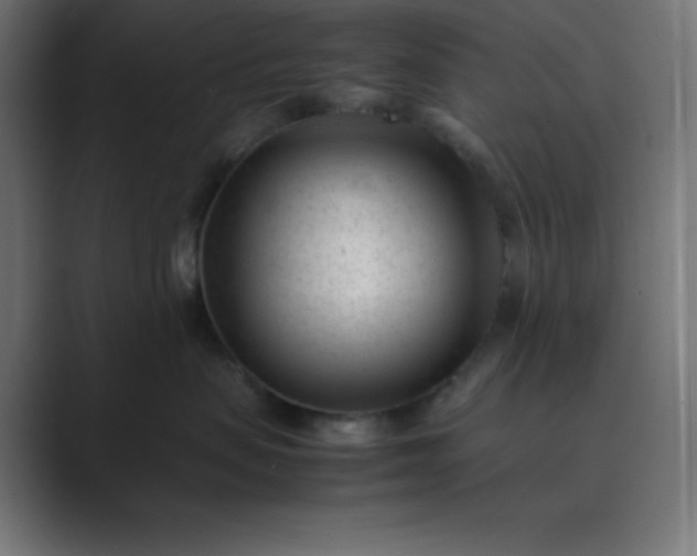 X0000089450479200706291446