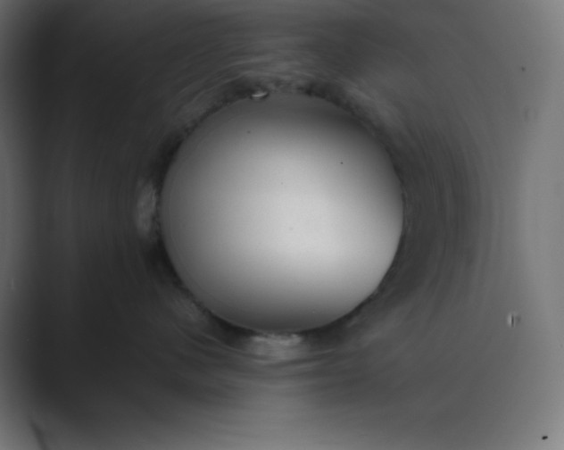 X0000089450480200706291446