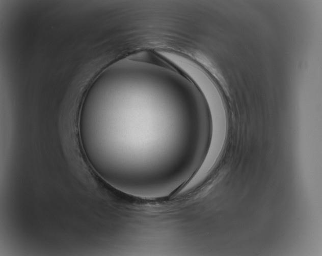 X0000089450481200706291446