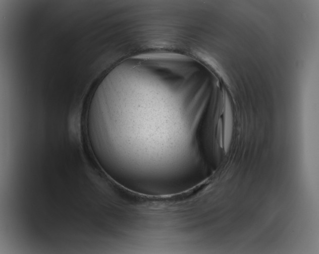 X0000089450482200706291446