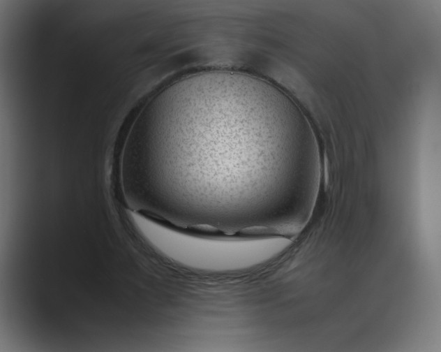 X0000089450483200706291446