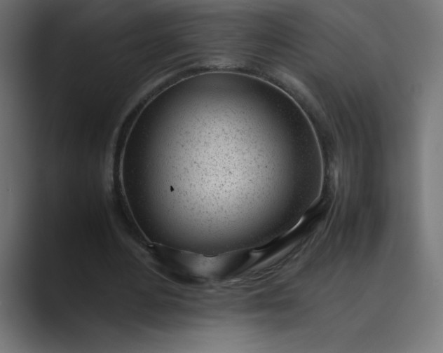X0000089450484200706291446