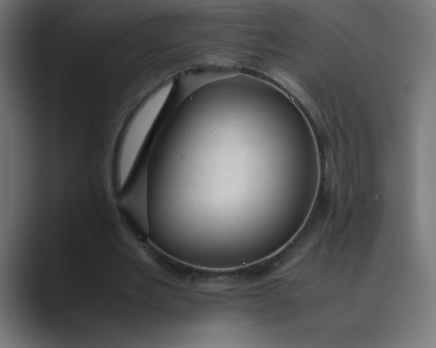 X0000089450485200706291446