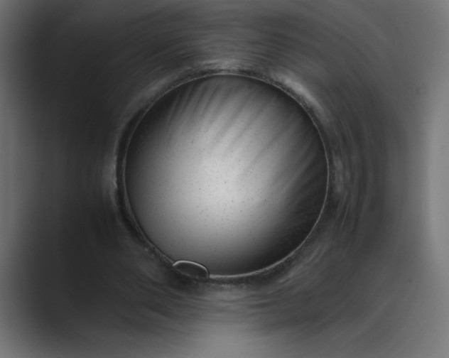 X0000089450486200706291446