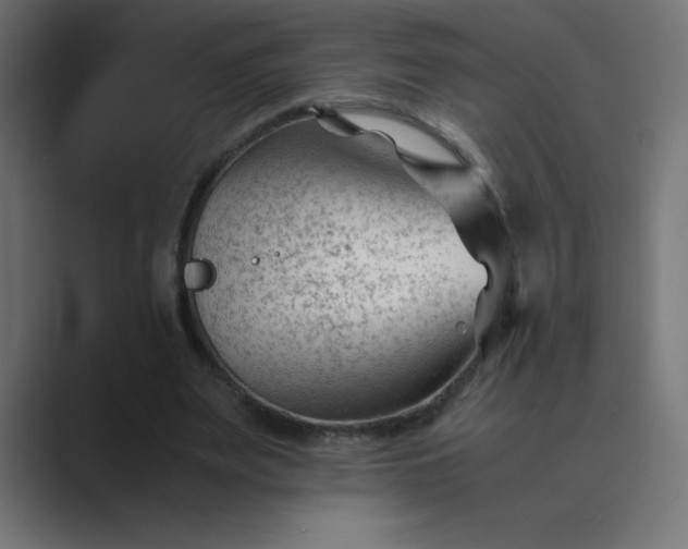 X0000089450487200706291446