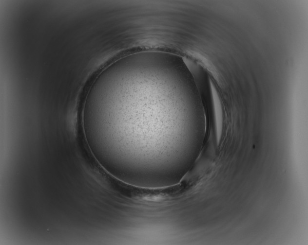 X0000089450488200706291446