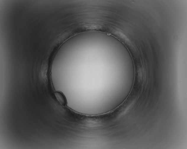 X0000089450490200706291446
