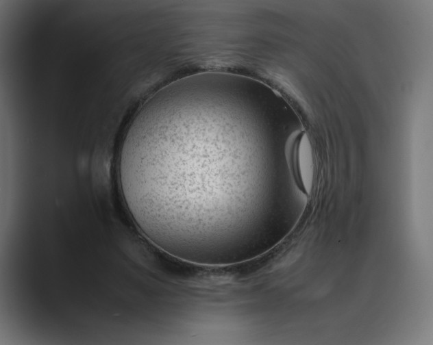 X0000089450491200706291446