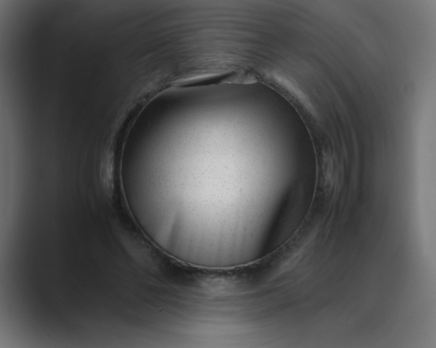 X0000089450494200706291446