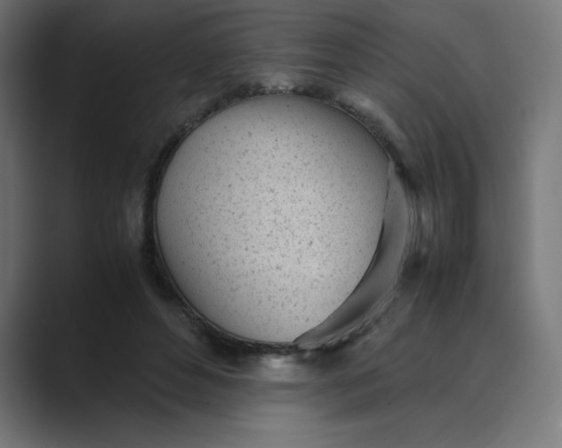 X0000089450496200706291446