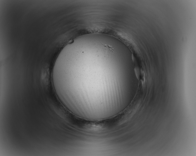 X0000089450498200706291446