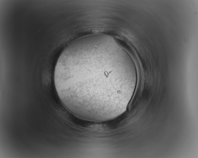 X0000089450499200706291446