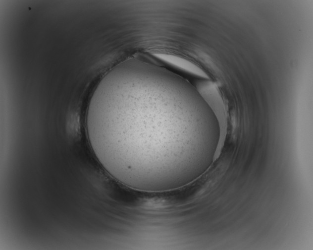 X0000089450500200706291445
