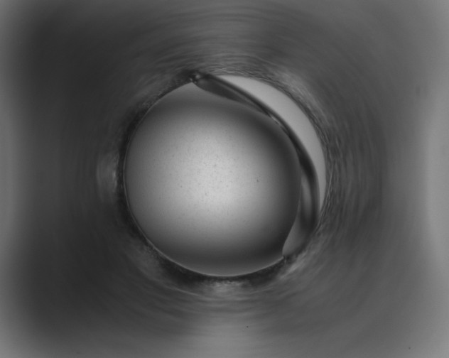 X0000089450501200706291445
