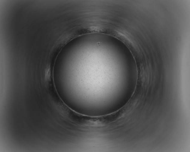 X0000089450502200706291445