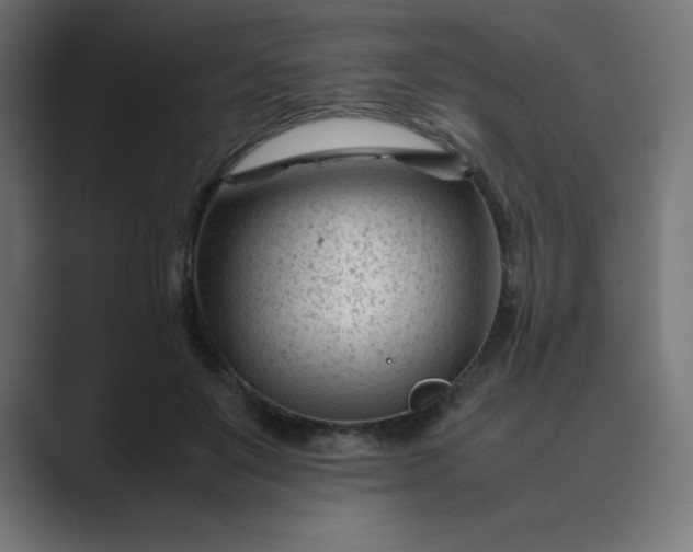 X0000089450503200706291445