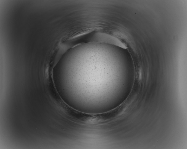 X0000089450504200706291445