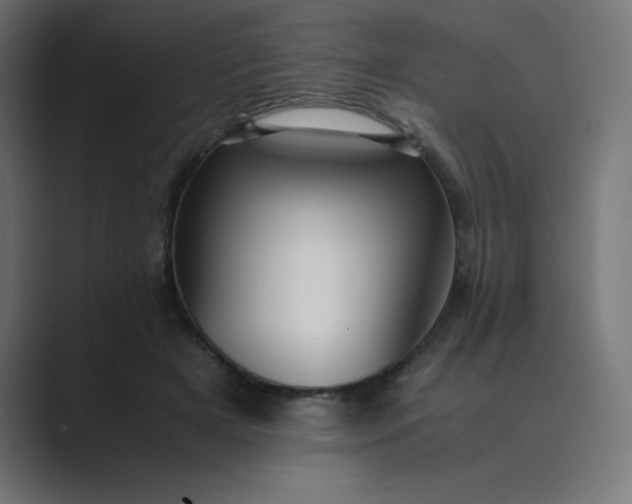 X0000089450505200706291445