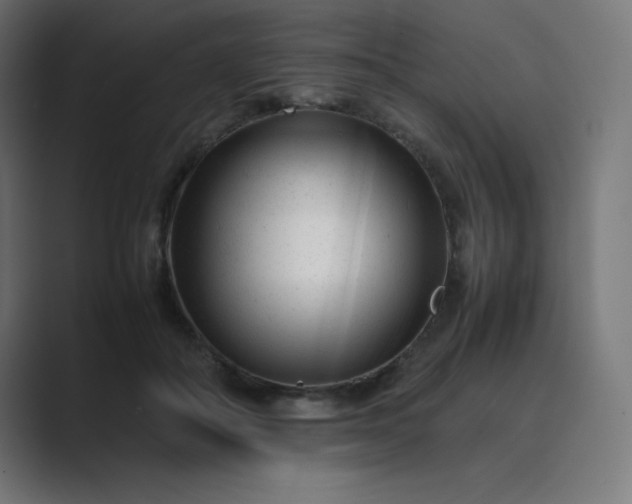 X0000089450506200706291445