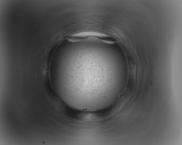 X0000089450507200706291445